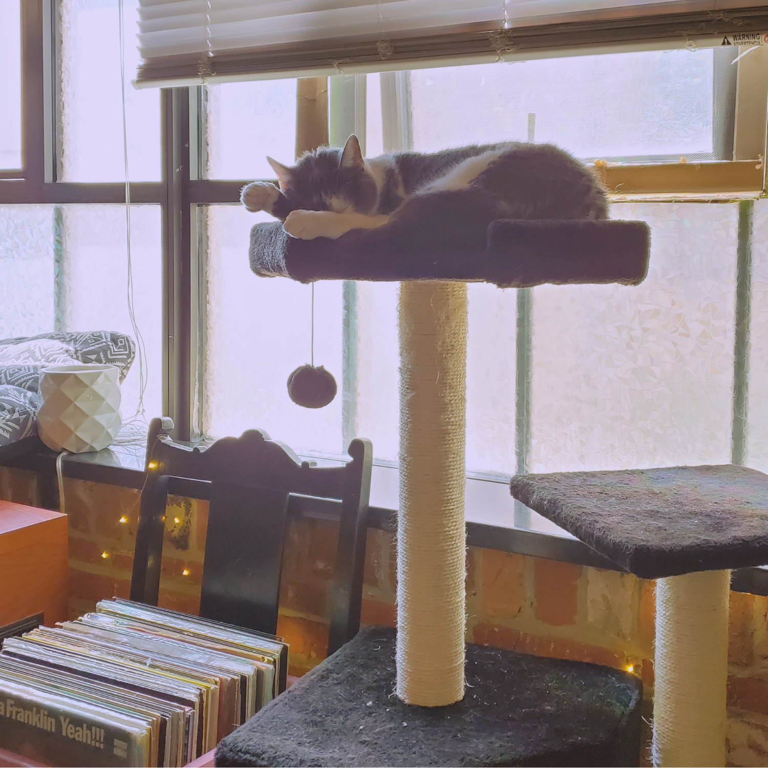 Creating a Calm Space in a Small Apartment