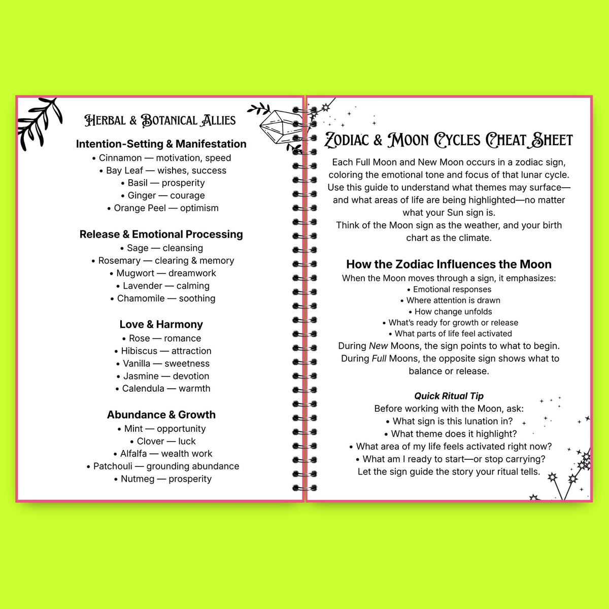2026-2027 Lunar Ritual Planner | Moon Phase Tracker Printable | Witchy Journal PDF | New & Full Moon Guide | Astrology Planner