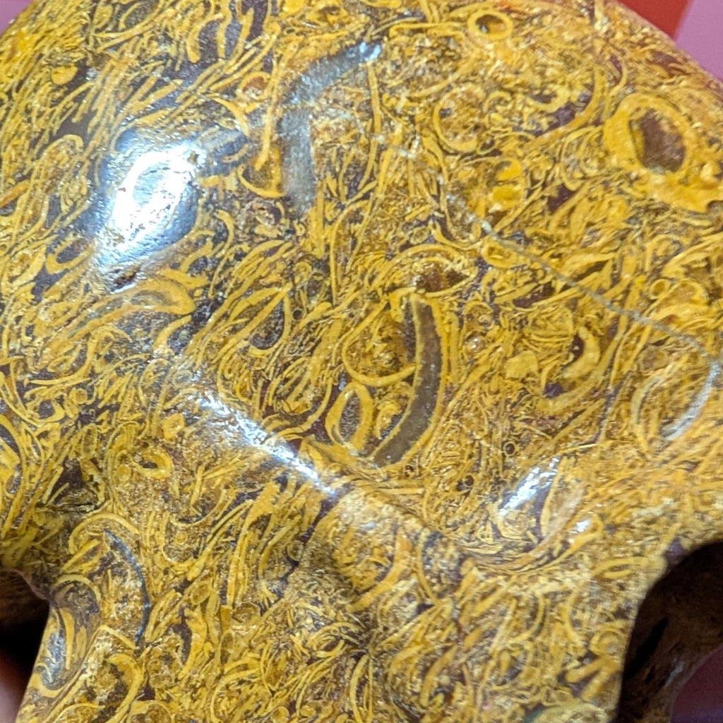 Large Elephant Skin Jasper Skull | Grounding Protection Crystal • Strength • One of a Kind Carving