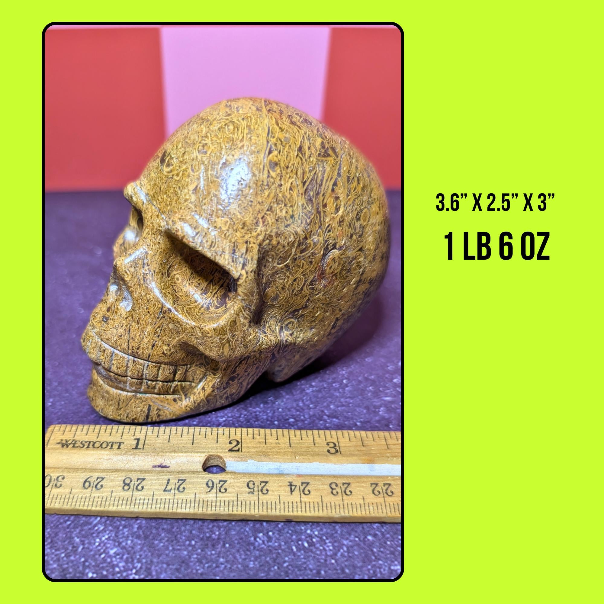 Large Elephant Skin Jasper Skull | Grounding Protection Crystal • Strength • One of a Kind Carving