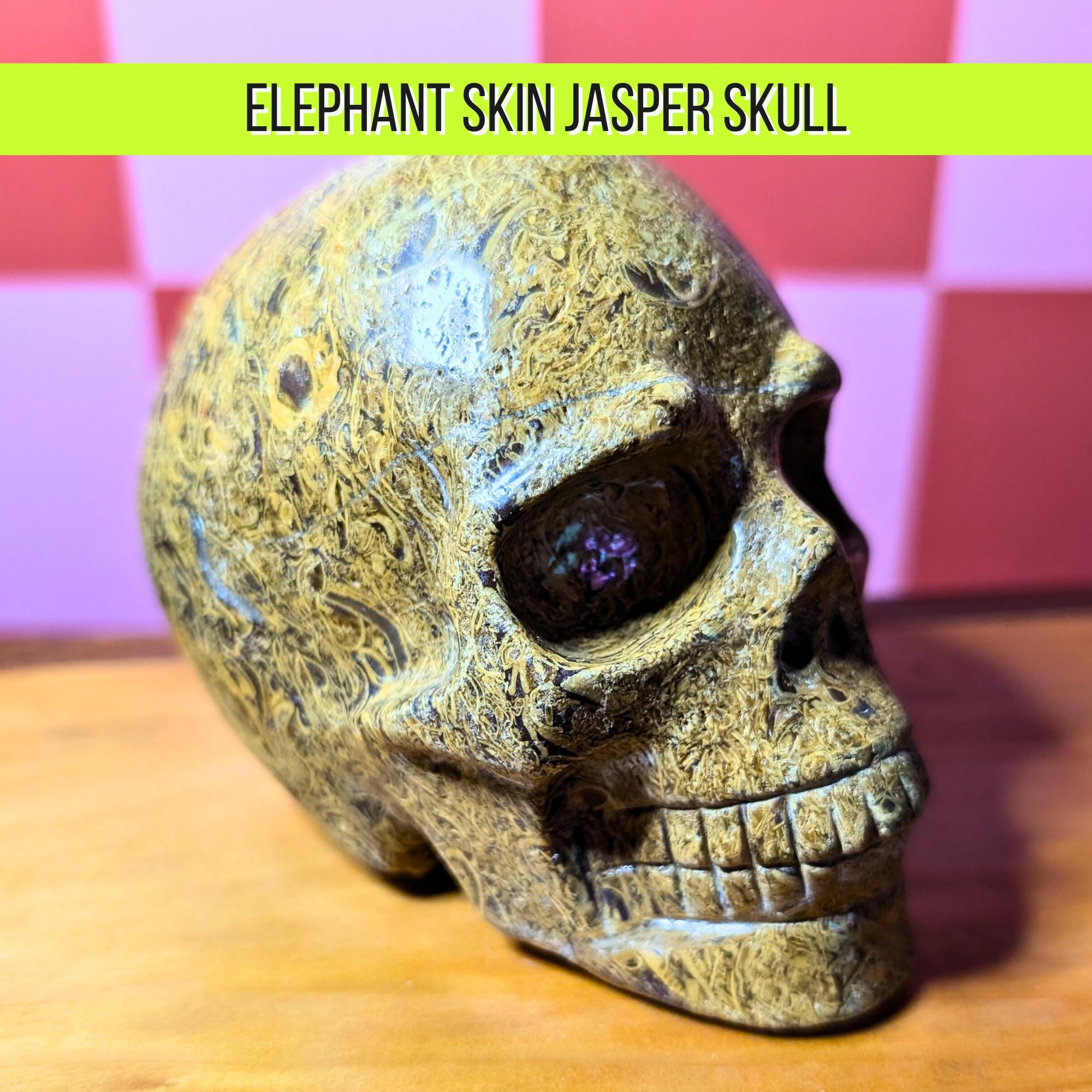 Large Elephant Skin Jasper Skull | Grounding Protection Crystal • Strength • One of a Kind Carving