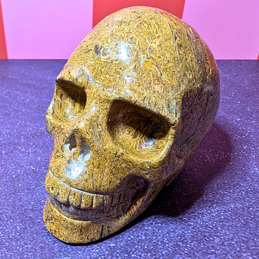 Large Elephant Skin Jasper Skull | Grounding Protection Crystal • Strength • One of a Kind Carving