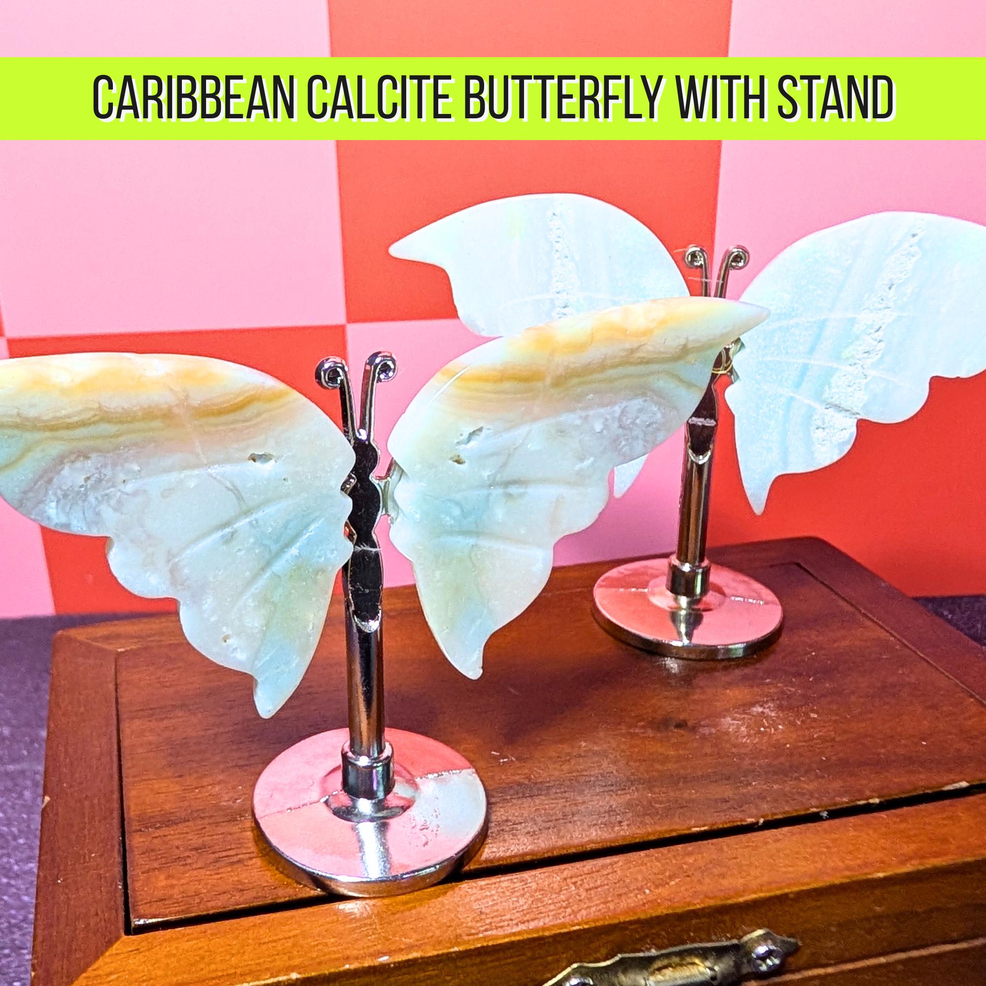 Caribbean Calcite Butterfly Carving w/ Stand | Calming & Intuition Crystal | Ocean Energy Stone | Transformation Decor | Intuitively Chosen