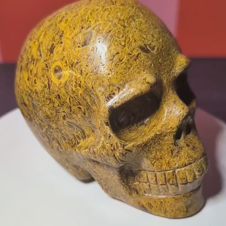 Large Elephant Skin Jasper Skull | Grounding Protection Crystal • Strength • One of a Kind Carving